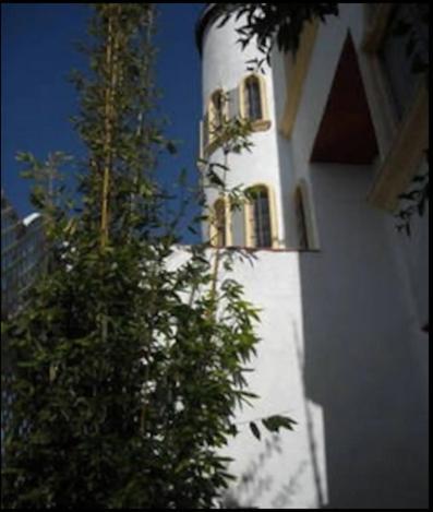 Welcome To Casa Viva Mexico 3-Bedrooms 2-Bathroms 6-Guests Close To Shoping Center & Beach Tijuana Extérieur photo